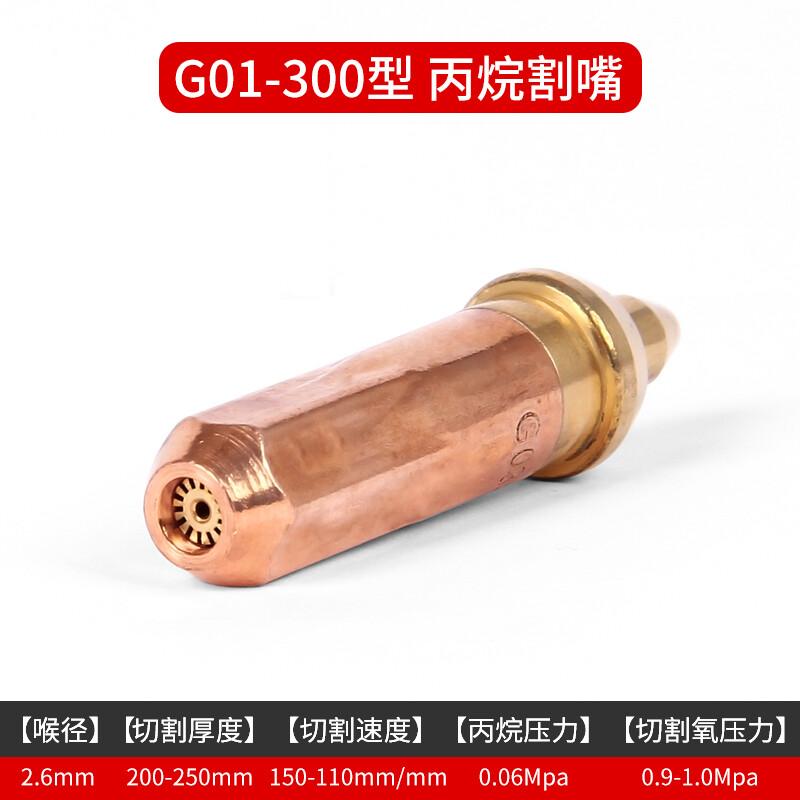 G01-300,3#丙烷割嘴个