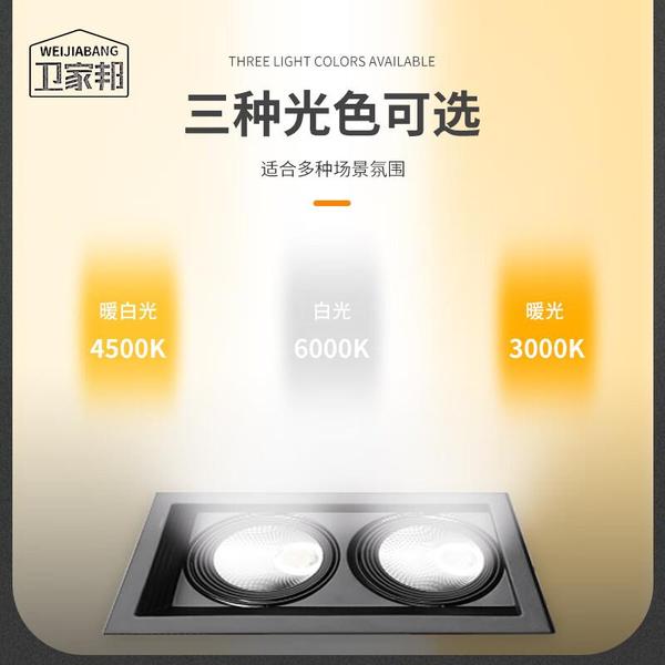 卫家邦 led方形双头射灯 嵌入式格栅灯斗胆 36W  白壳白光